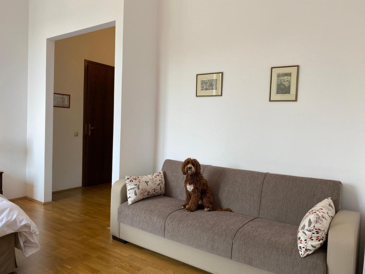 Kakasszéki Vendégház Székkutas Exterior foto