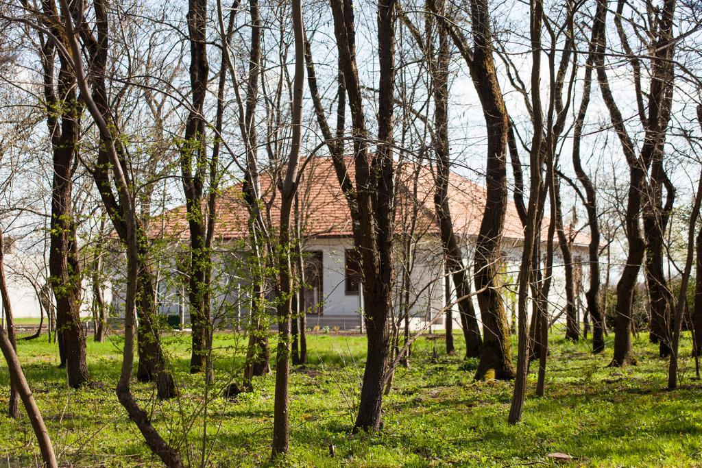 Kakasszéki Vendégház Székkutas Exterior foto