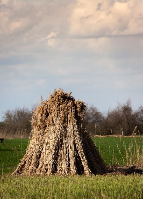 Kakasszéki Vendégház Székkutas Exterior foto